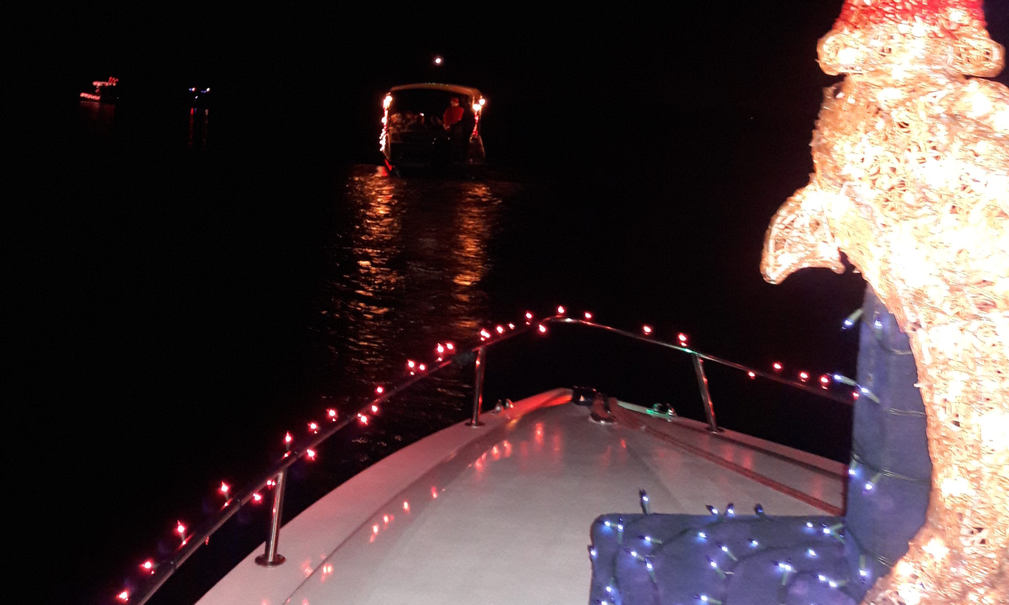 Christmas boat parade dolphin